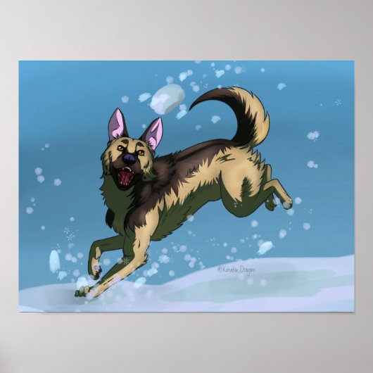 Sneeuwspellen Poster (Voorkant)