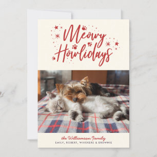 Sneeuwsterren Meowy Vakanties Huisdier Foto Kerstm Feestdagenkaart