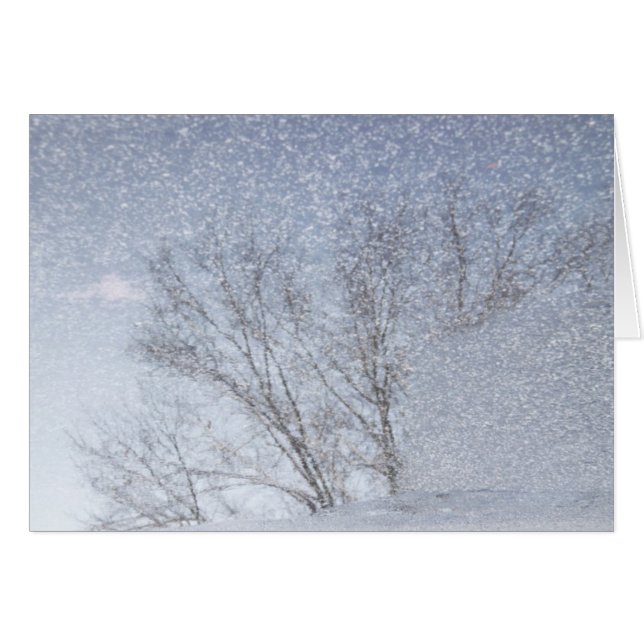 sneeuwStorm (Voorkant Horizontaal)