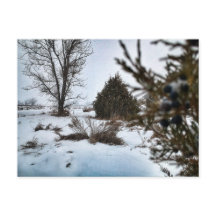 Sneeuwstorm in North Dakota in de winter