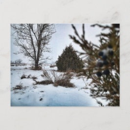Sneeuwstorm in North Dakota in de winter Briefkaart