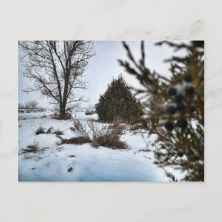Sneeuwstorm in North Dakota in de winter Briefkaart