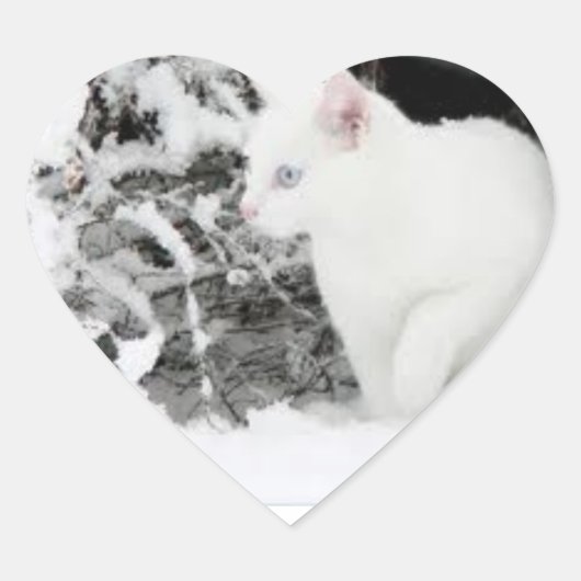 Sneeuwstorm liefde sticker (Voorkant)