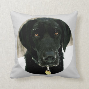 Sneeuwt hoe u Nice Black Lab Pillow kunt afspelen Kussen