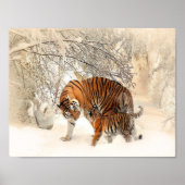 sneeuwtijgers poster (Voorkant)