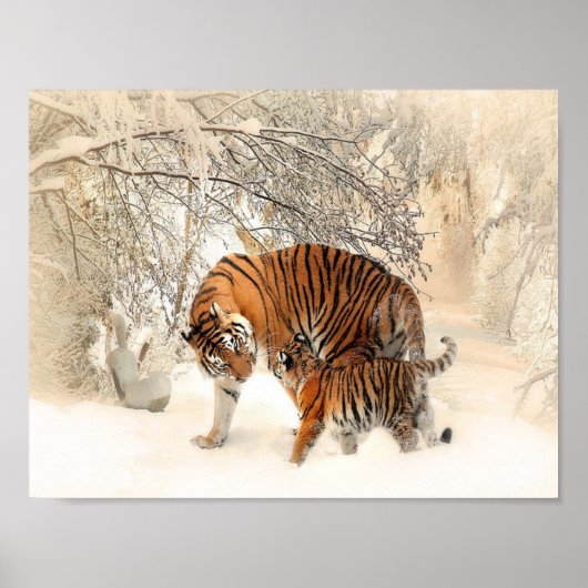 sneeuwtijgers poster (Voorkant)
