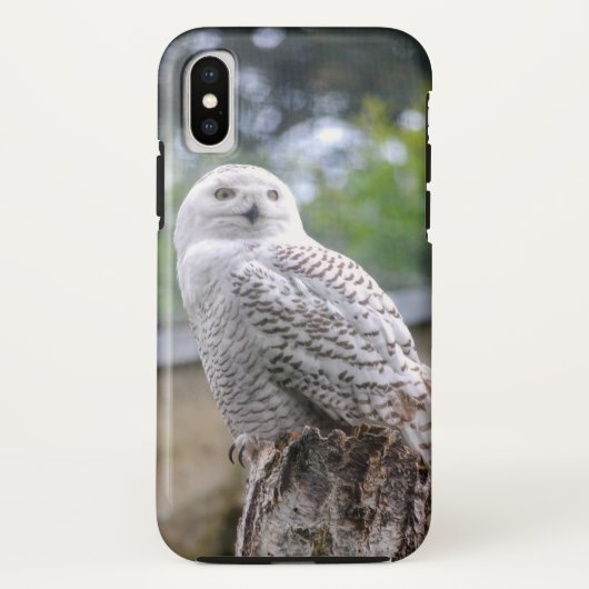 Sneeuwuil... Case-Mate iPhone Case (Achterkant)