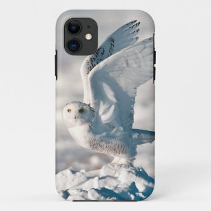 Sneeuwuil die opstijgt uit de sneeuw iPhone 11 hoesje