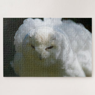 Sneeuwuil Gaat Floof Super Uitdagende Vogel Liefhe Legpuzzel