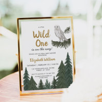 Sneeuwuil illustratie Baby shower