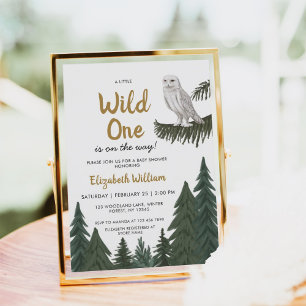 Sneeuwuil illustratie Baby shower Kaart