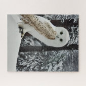 Sneeuwuil legpuzzel (Horizontaal)