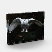 Sneeuwuil met open vleugels pbcna fotoblokken (Links)