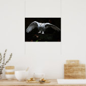 Sneeuwuil met open vleugels wapcnm poster (Keuken)