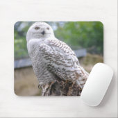 Sneeuwuil Muismat (Met muis)