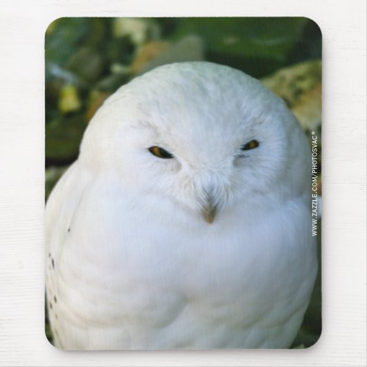 Sneeuwuil Muismat (Voorkant)