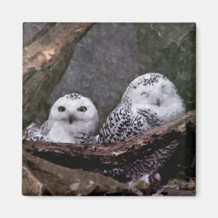 Sneeuwuil paar boslandschap dierenkunst magneet