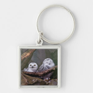 Sneeuwuil paar boslandschap dierenkunst sleutelhanger