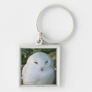 Sneeuwuil Sleutelhanger