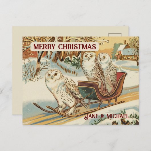 Sneeuwuil vrolijke kerstnaam briefkaart (Voorkant / Achterkant)