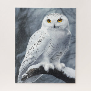 sneeuwuilenpuzzel legpuzzel