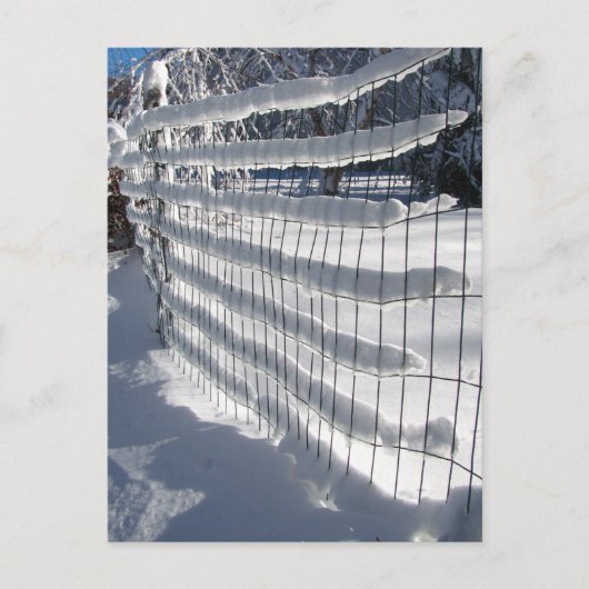sneeuwval ~ briefkaart (Voorkant)