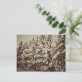 sneeuwval, Conifer, CO Briefkaart (Staand voorkant)
