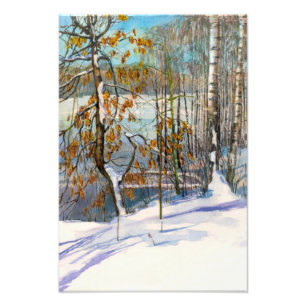 Sneeuwval Foto Afdruk