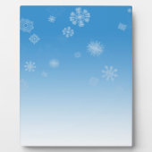 Sneeuwval Fotoplaat (Voorkant)