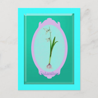 sneeuwval"Galanthus" Briefkaart