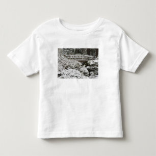 Sneeuwval in Portland Japanese Garden, Kinder Shirts