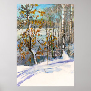 Sneeuwval Poster