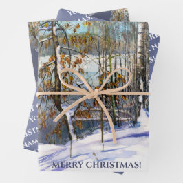 Sneeuwval Waterverf Inpakpapier Vel