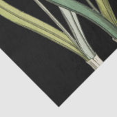  sneeuwval Zwarte Lente Tissuepapier (Detail)