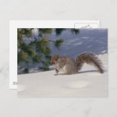 Sneeuwvierkant Briefkaart (Voorkant / Achterkant)