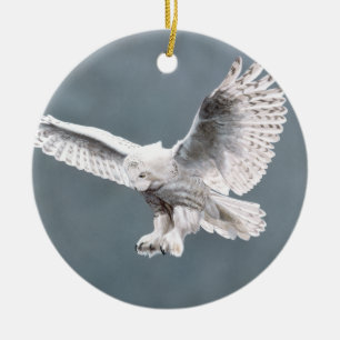 Sneeuwvleugels Keramisch Ornament
