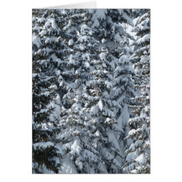 Sneeuwvloerstructuur