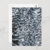 Sneeuwvloerstructuur Briefkaart (Voorkant / Achterkant)