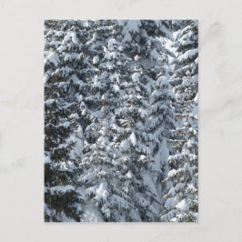 Sneeuwvloerstructuur Briefkaart