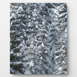 Sneeuwvloerstructuur Fotoplaat