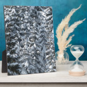 Sneeuwvloerstructuur Fotoplaat (Zijkant)