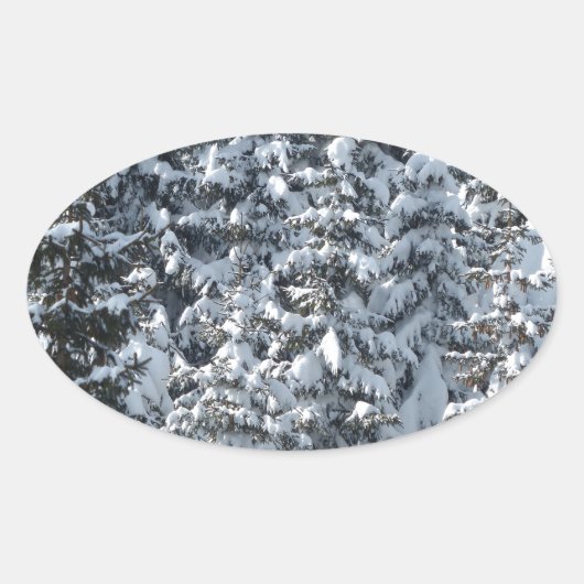 Sneeuwvloerstructuur Ovale Sticker (Voorkant)