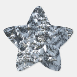 Sneeuwvloerstructuur Ster Sticker