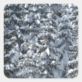 Sneeuwvloerstructuur Vierkante Sticker