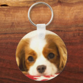 Sneeuwvlok Cavalier King Charles Spaniel Sleutelhanger (Voorkant)