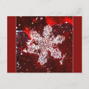 Sneeuwvlok foto briefkaart