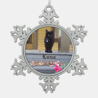 Sneeuwvlok omlijst kat ornament