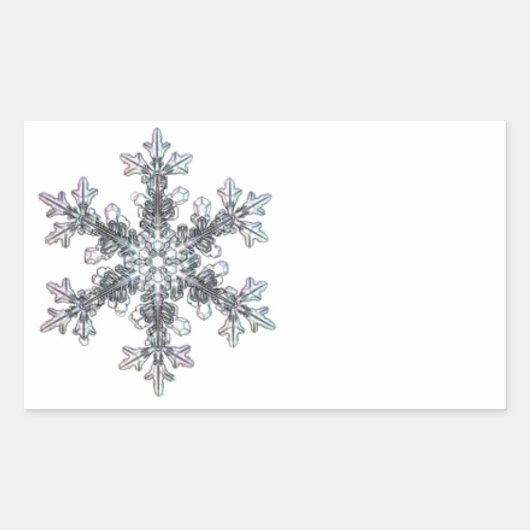 Sneeuwvlok Rechthoekige Sticker (Voorkant)