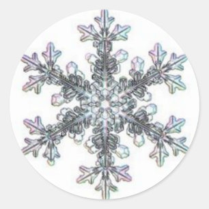 Sneeuwvlok Ronde Sticker