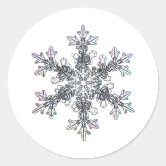 Sneeuwvlok Ronde Sticker (Voorkant)